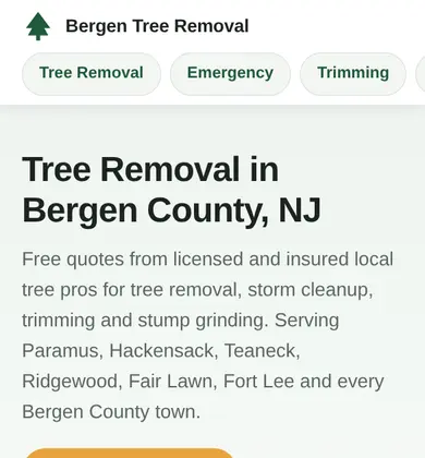 Phone view of Bergen Tree Removal