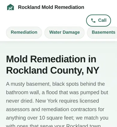 Phone view of Rockland Mold Remediation
